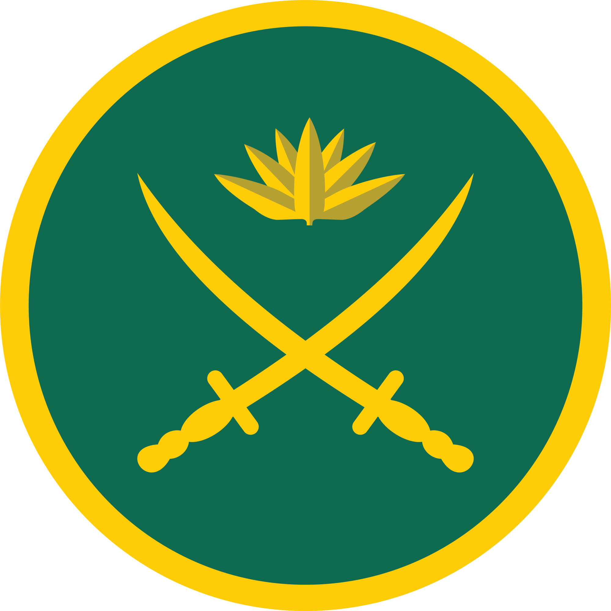 bangladesh-army-seeklogo